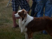 Sommertreffen 2018 - 037
